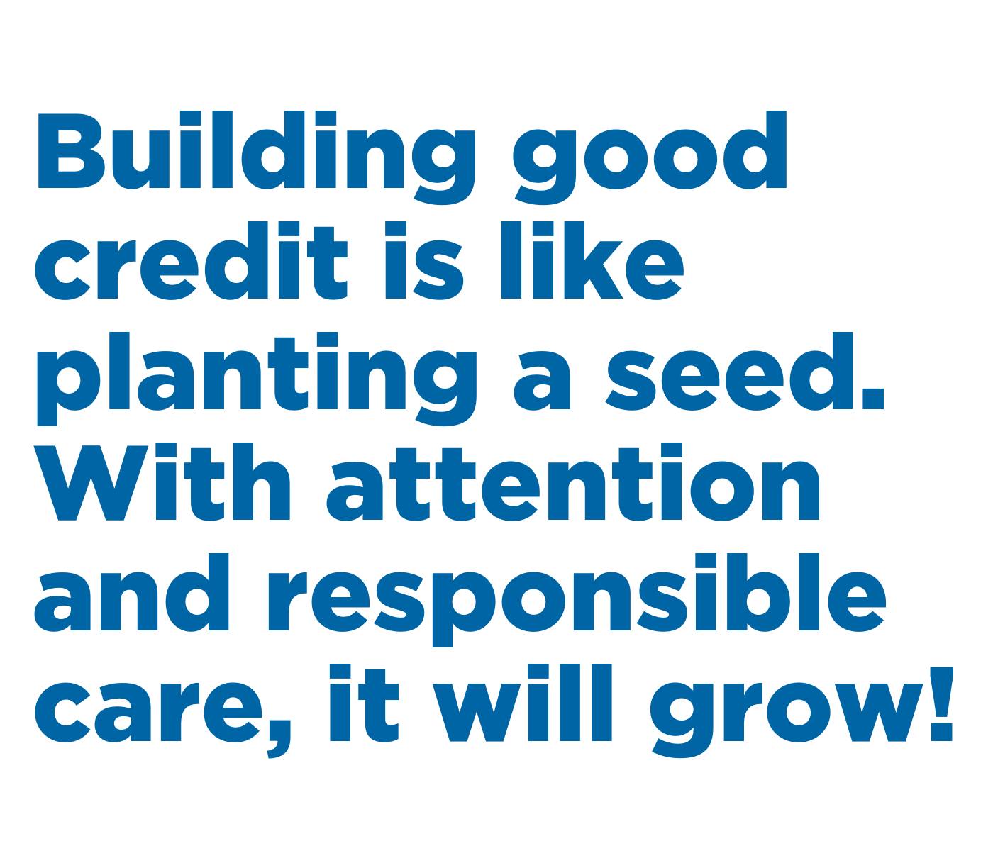 Building good credit is like planting a seed. With attention and responsible care, it will grow!